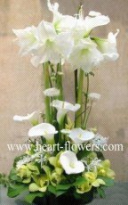 心花怒放 專業花卉服務，傳遞美好情感